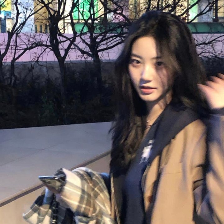 恣女木