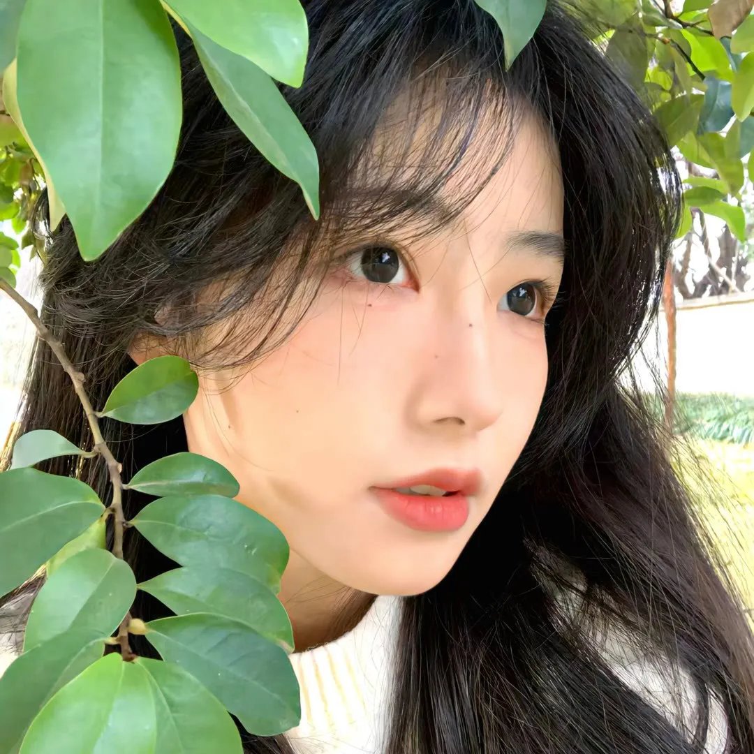 我们没有羽翼